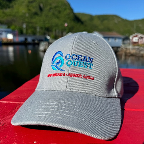 Ocean Quest Cap - Grey